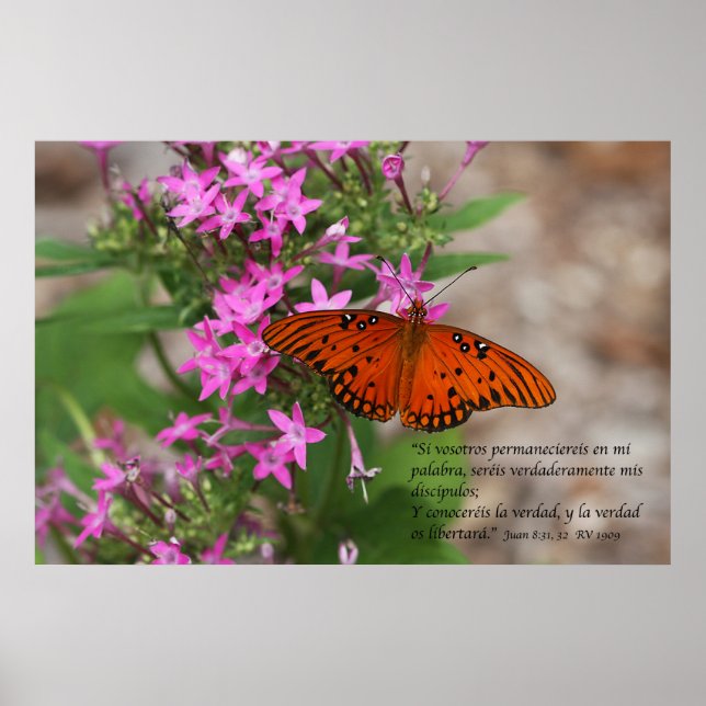 Póster Juan 8:31, 32 con Mariposa Gulf Fritillary (Frente)