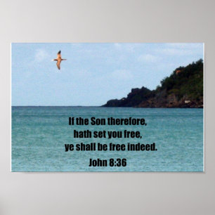 Póster Juan 8:36