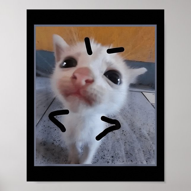 Póster Judgy Kitty Funny Cat Lover Angry Kitten Meme Cute (Frente)