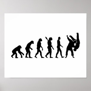 Póster Judo de la evolución