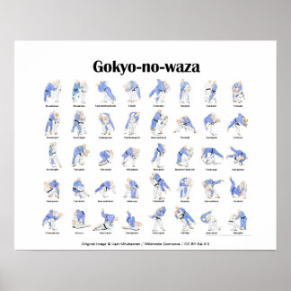 Póster Judo lanza