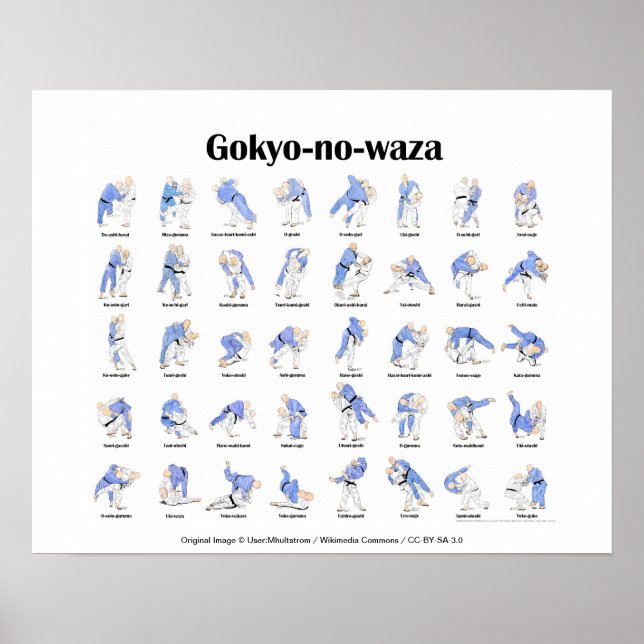 Póster Judo lanza (Frente)
