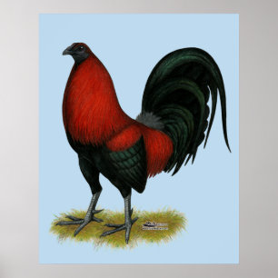 Póster Juego Americano BB Gallo Rojo Negro