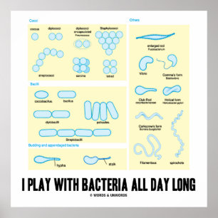 Póster Juego Con Bacteria Todo El Día (Morfología)