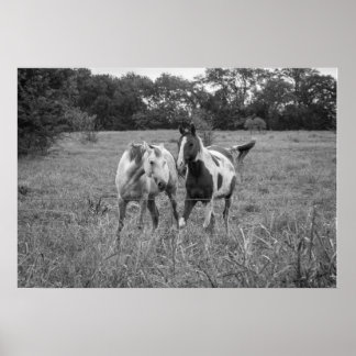 Póster Juego de caballos