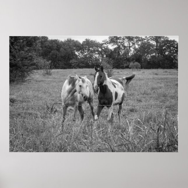 Póster Juego de caballos (Frente)