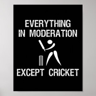 Póster Juego de cricket - Moderación divertida - Jugador