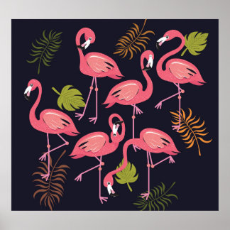 Póster Juego de flamencos, cosecha de aves tropicales.