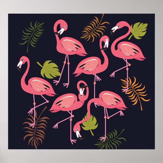 Póster Juego de flamencos, cosecha de aves tropicales. (Frente)