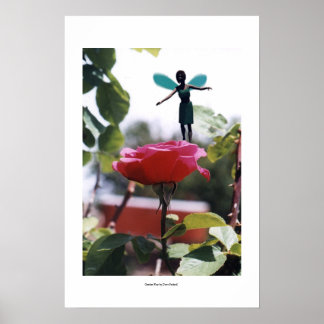 Póster Juego de jardín