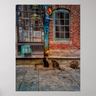 Póster Juego del gato