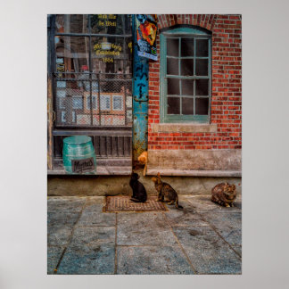 Póster Juego del gato