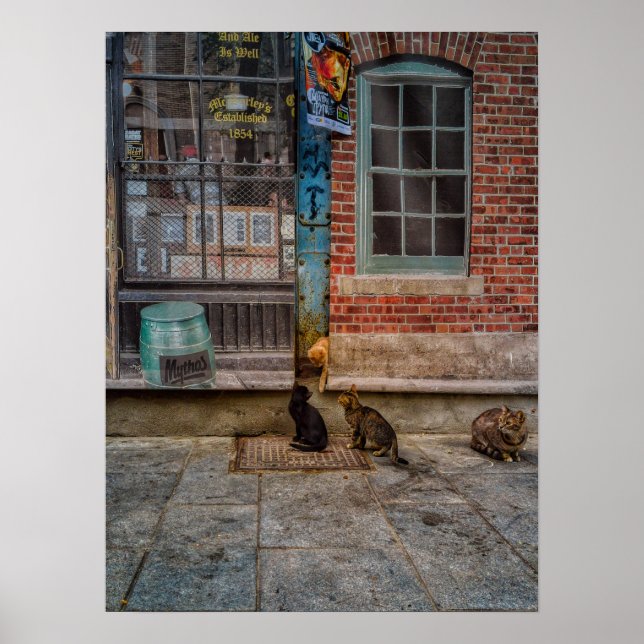 Póster Juego del gato (Frente)