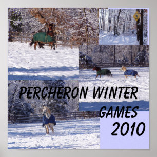 PÓSTER JUEGOS DE INVIERNO DE PERCHERON, 2013