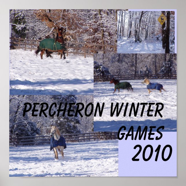 PÓSTER JUEGOS DE INVIERNO DE PERCHERON, 2013 (Frente)