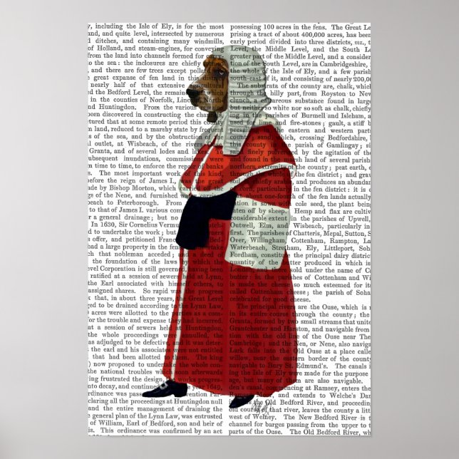 Póster Juez de helio de Basset (Frente)