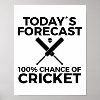 Póster Jugador de cricket 10
