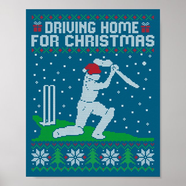 Póster Jugador de Cricket Divertido Conduciendo a Casa Pa (Frente)