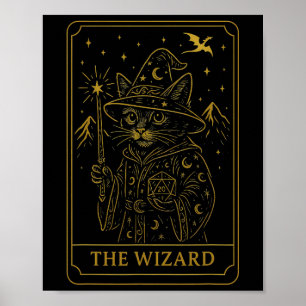 Póster Jugador de Rpg Mago D20 Dados Nerdy Geek Gato Homb