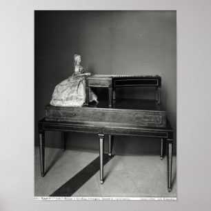 Póster Jugador del Dulcimer