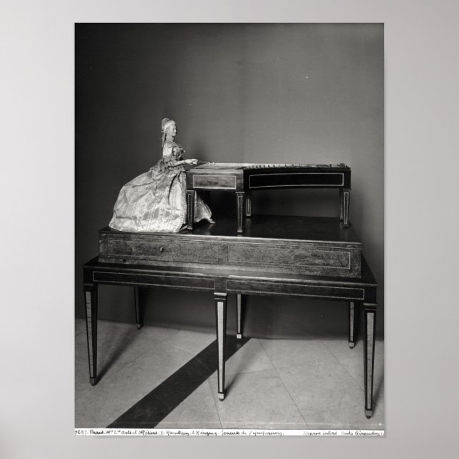 Póster Jugador Dulcimer (Frente)