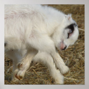 Póster Jugadores Amigo