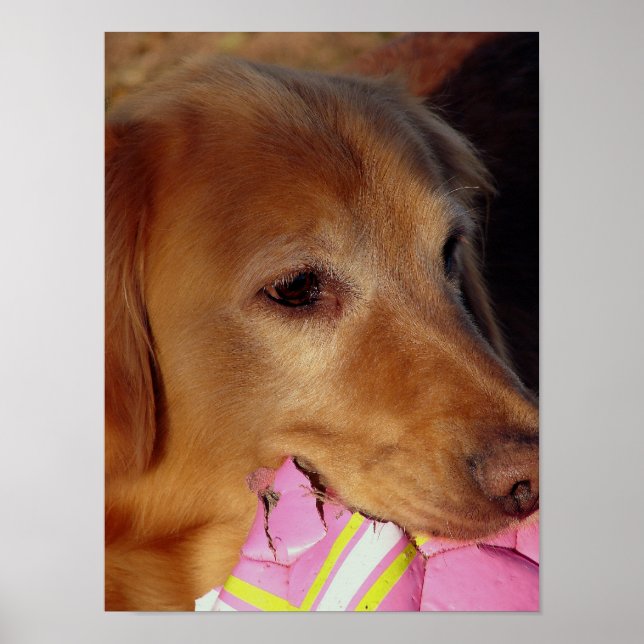 Póster Juguemos a la pelota (Frente)