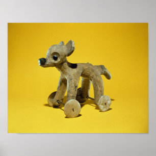 Póster Juguete para animales de ruedas, Vera Cruz, México