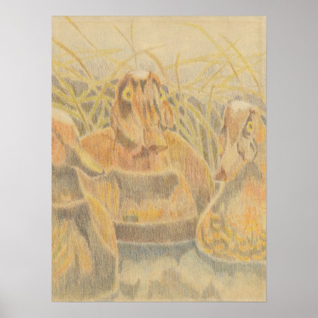 Póster Juguetes de pato de madera sobre estanques (Frente)