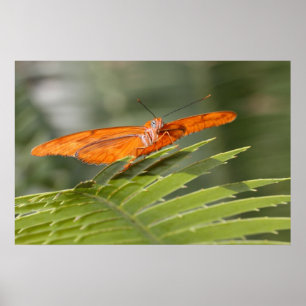 Póster Julia Butterfly sobre una hoja