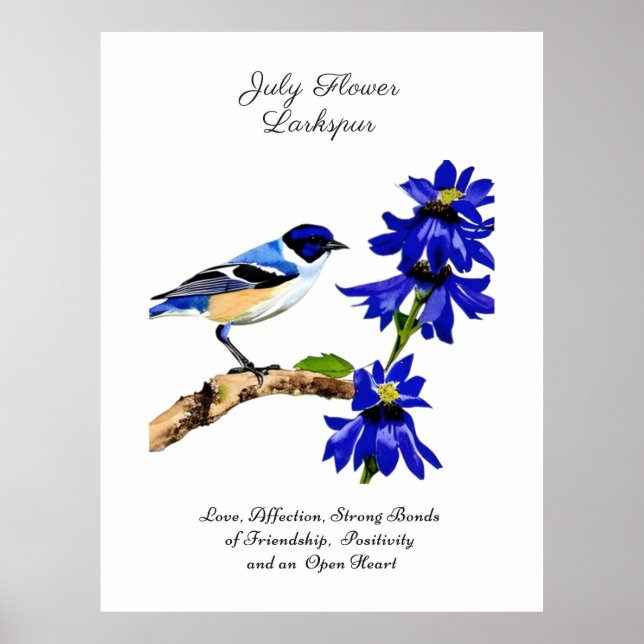 Póster Julio Mes de Nacimiento Flor Pájaro Azul y Larkspu (Frente)