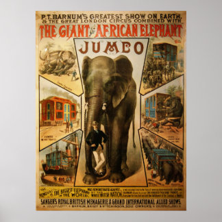 Póster Jumbo, el gigante Poster elefante africano