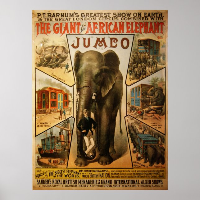 Póster Jumbo, el gigante Poster elefante africano (Frente)