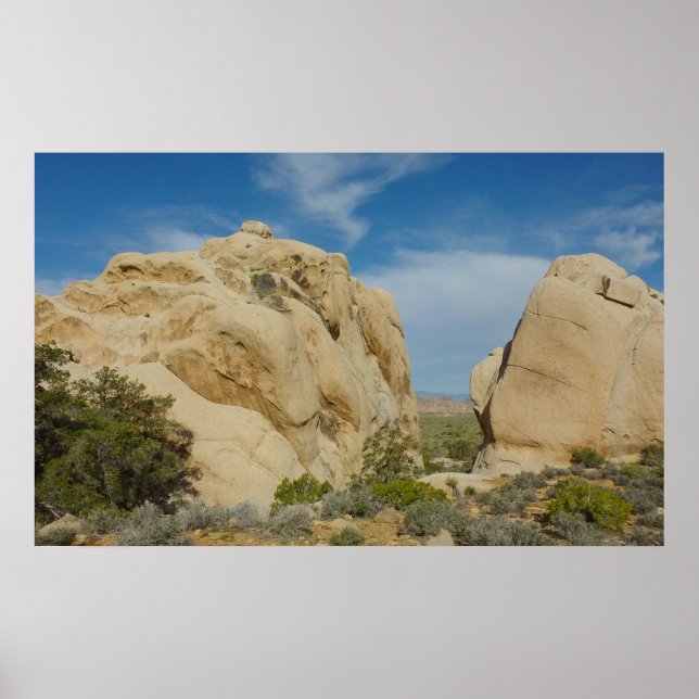 Póster Jumbo Rocks en el Parque Nacional Joshua Tree (Frente)
