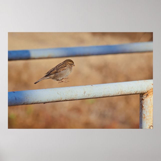 Póster Jump (Frente)