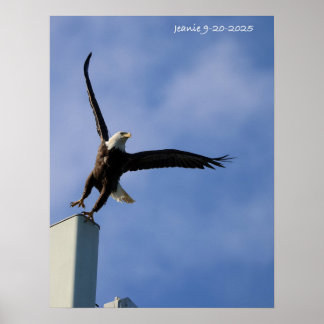 Póster Jumping Eagle