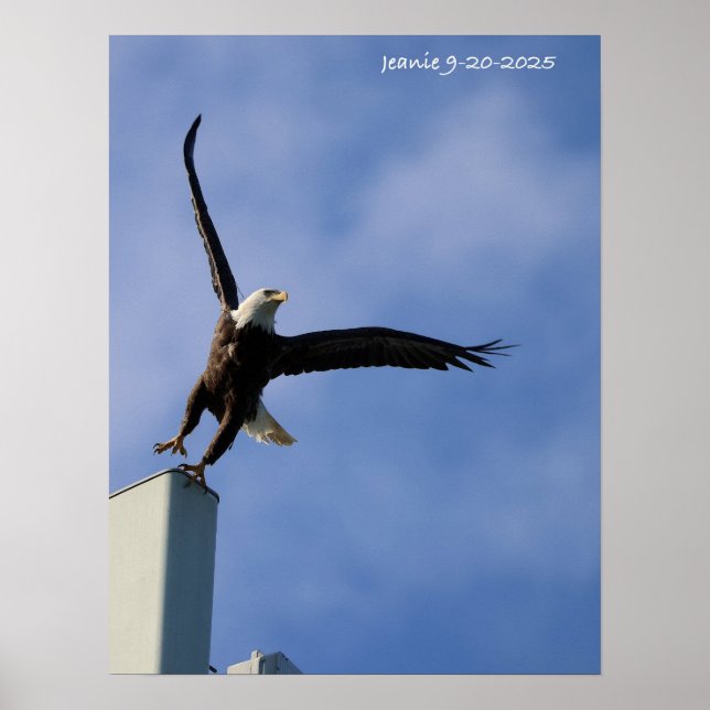 Póster Jumping Eagle (Frente)