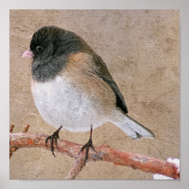 Póster Junco (Frente)