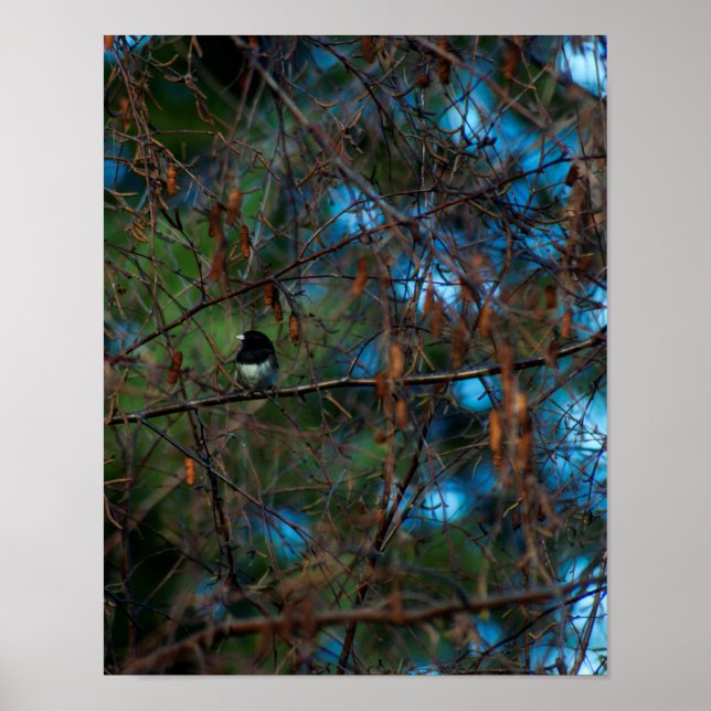 Póster Junco (Frente)