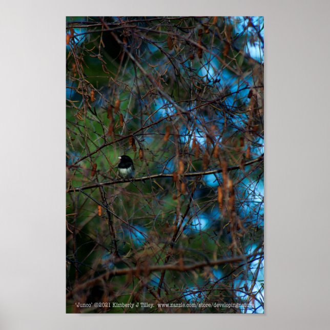 Póster Junco (Frente)