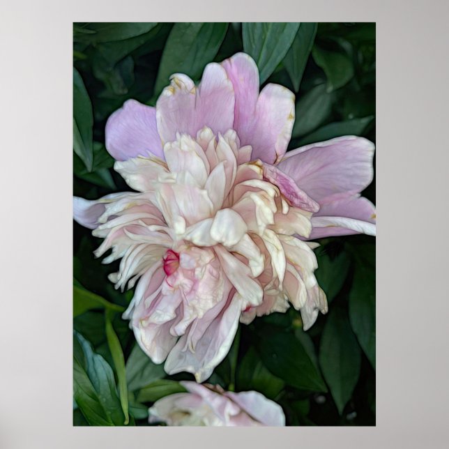 Póster June Peony Poster (Frente)
