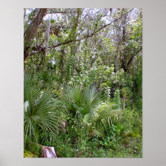 Póster Jungla (Frente)