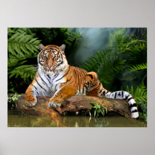 PÓSTER JUNGLE TIGER