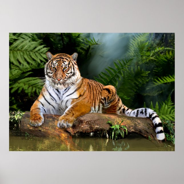 PÓSTER JUNGLE TIGER (Frente)