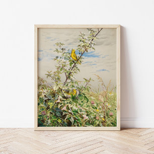 Póster Junio   Fidelia Bridges