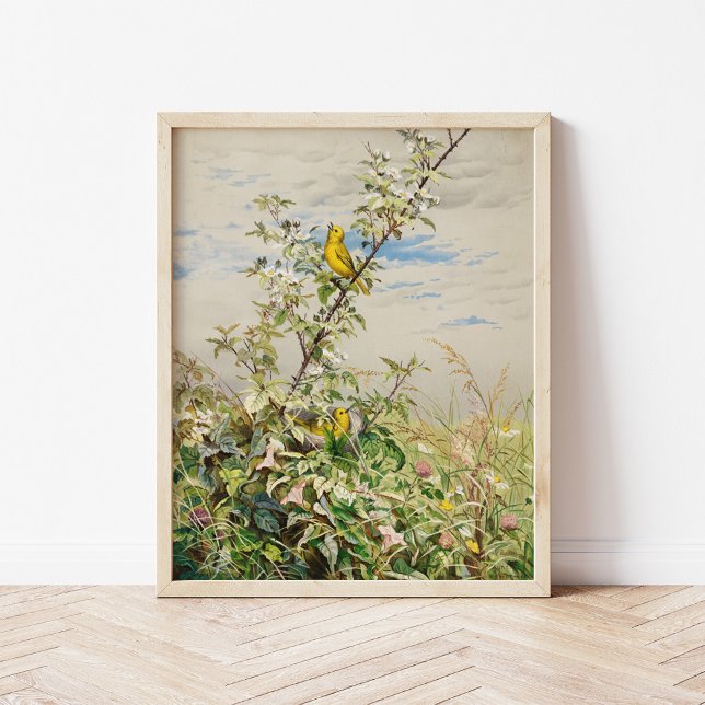 Póster Junio | Fidelia Bridges (Subido por el creador)