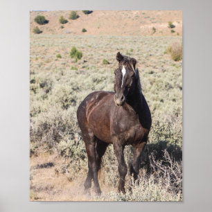 Póster Juniper