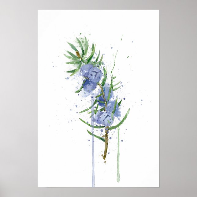 Póster Juniper (Frente)