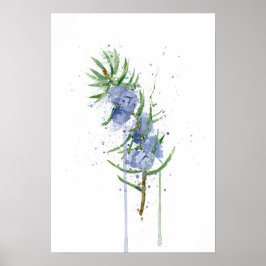 Póster Junípero