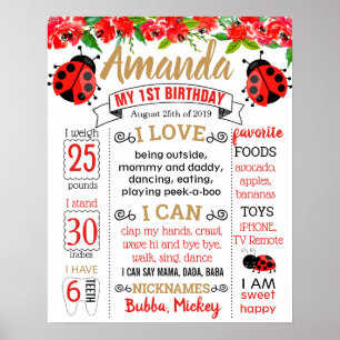 Póster Junta de la fiesta de cumpleaños de Ladybug Lady b
